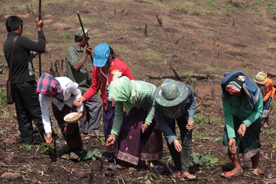 Preserving biodiversity through national legal systems